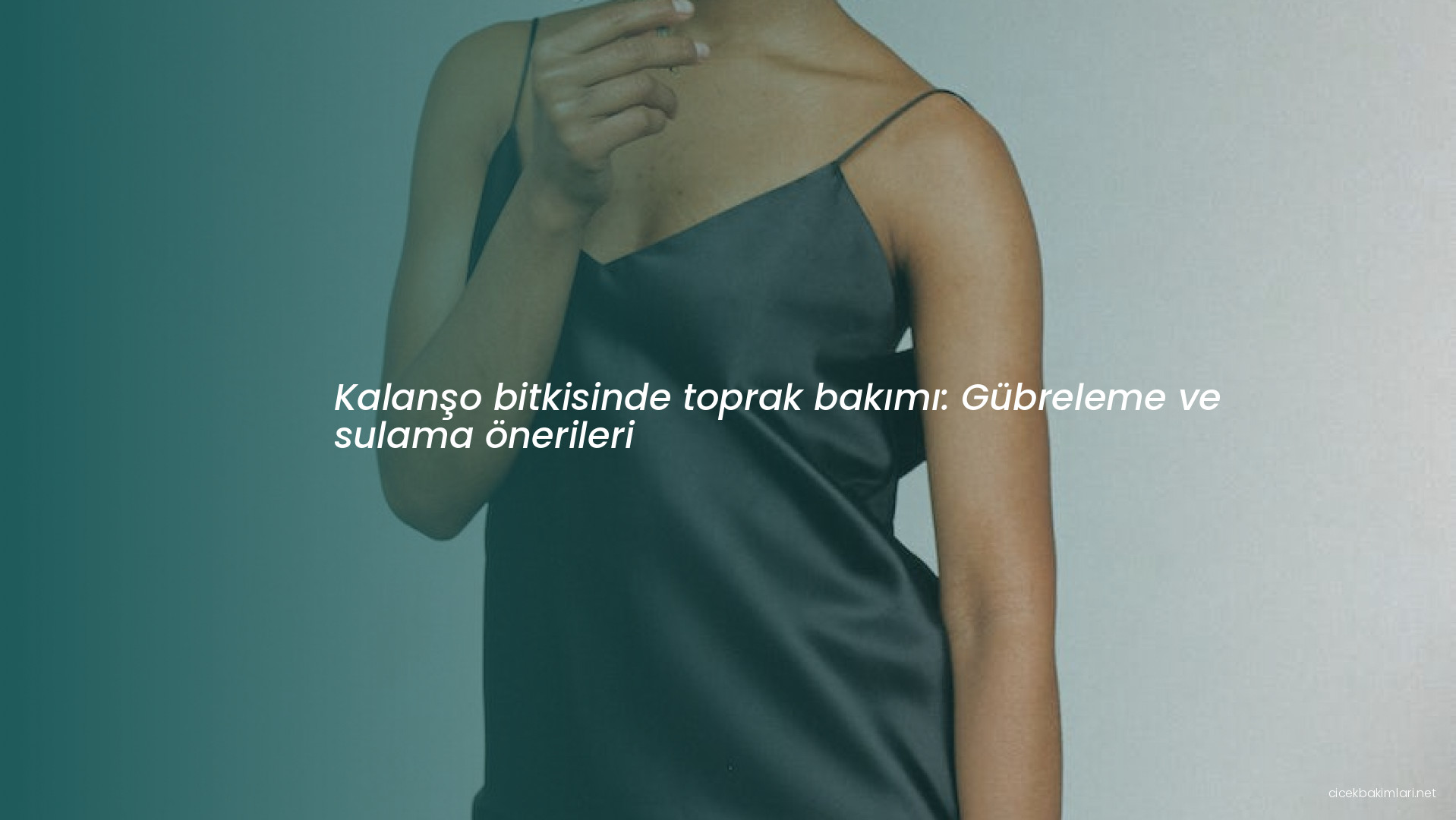 Kalanşo bitkisinde toprak bakımı: Gübreleme ve sulama önerileri