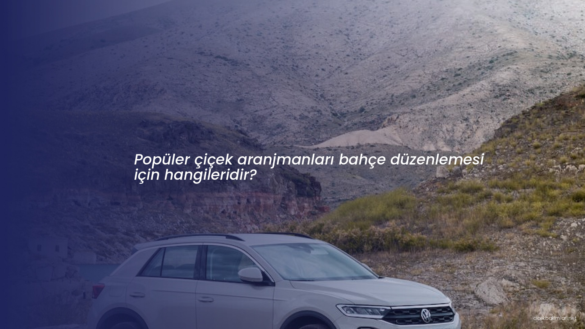 Popüler çiçek aranjmanları bahçe düzenlemesi için hangileridir?