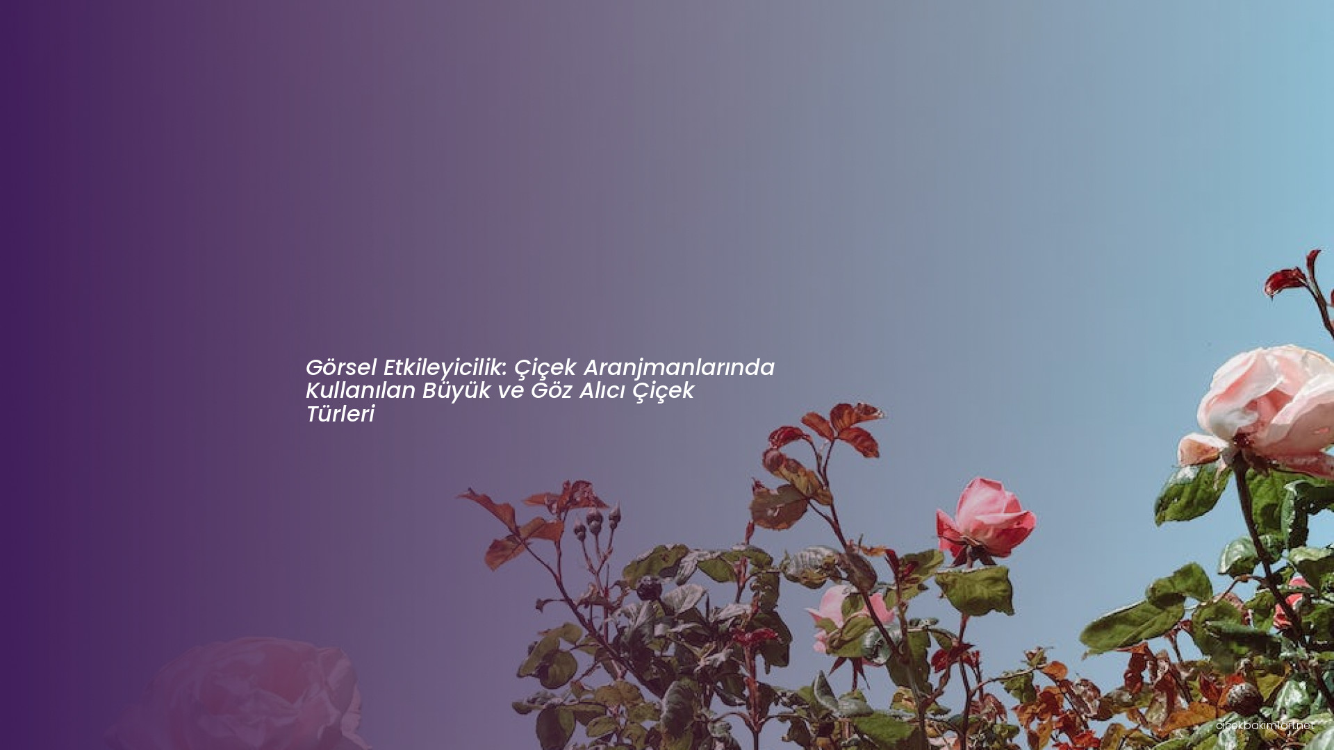 Görsel Etkileyicilik: Çiçek Aranjmanlarında Kullanılan Büyük ve Göz Alıcı Çiçek Türleri