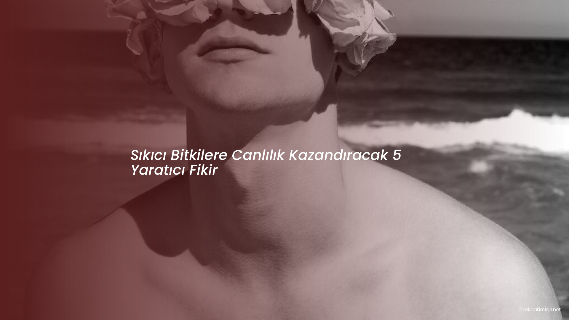 Sıkıcı Bitkilere Canlılık Kazandıracak 5 Yaratıcı Fikir