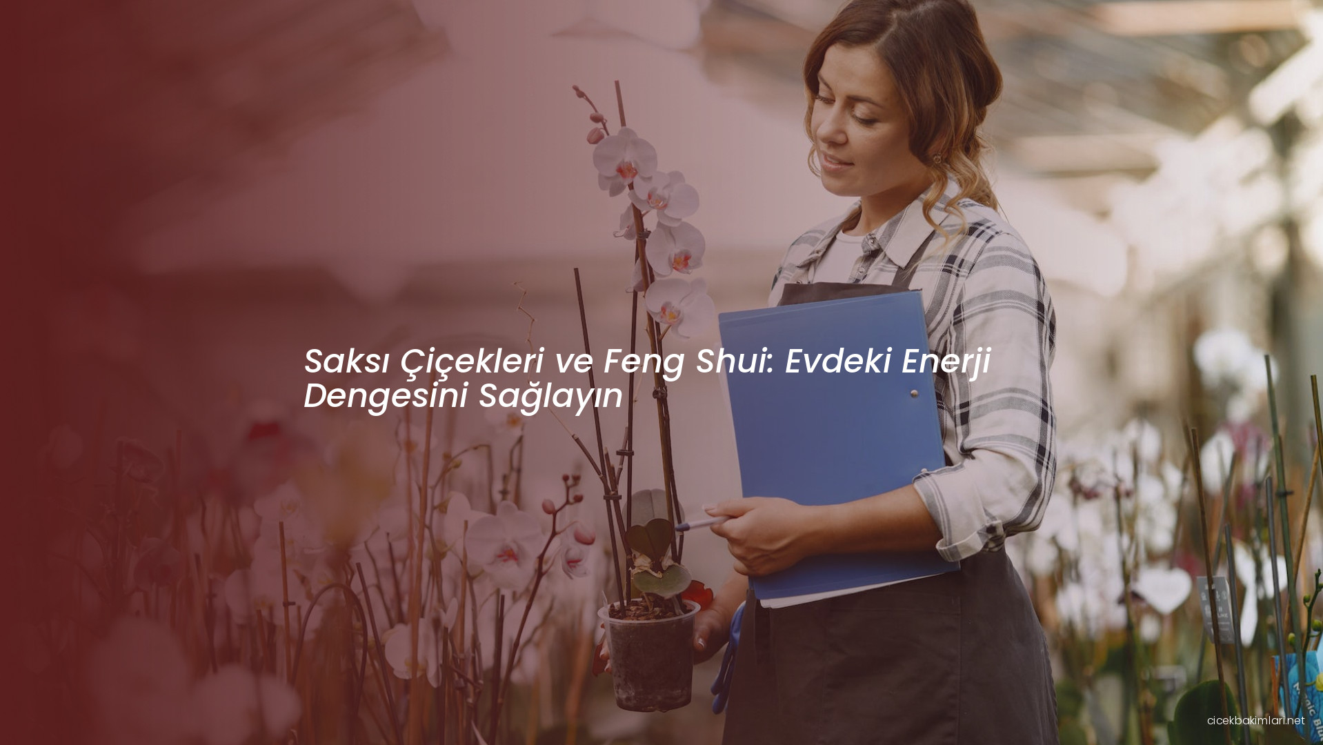 Saksı Çiçekleri ve Feng Shui: Evdeki Enerji Dengesini Sağlayın