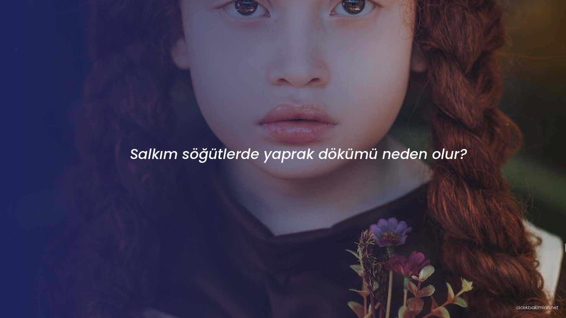 Salkım söğütlerde yaprak dökümü neden olur?