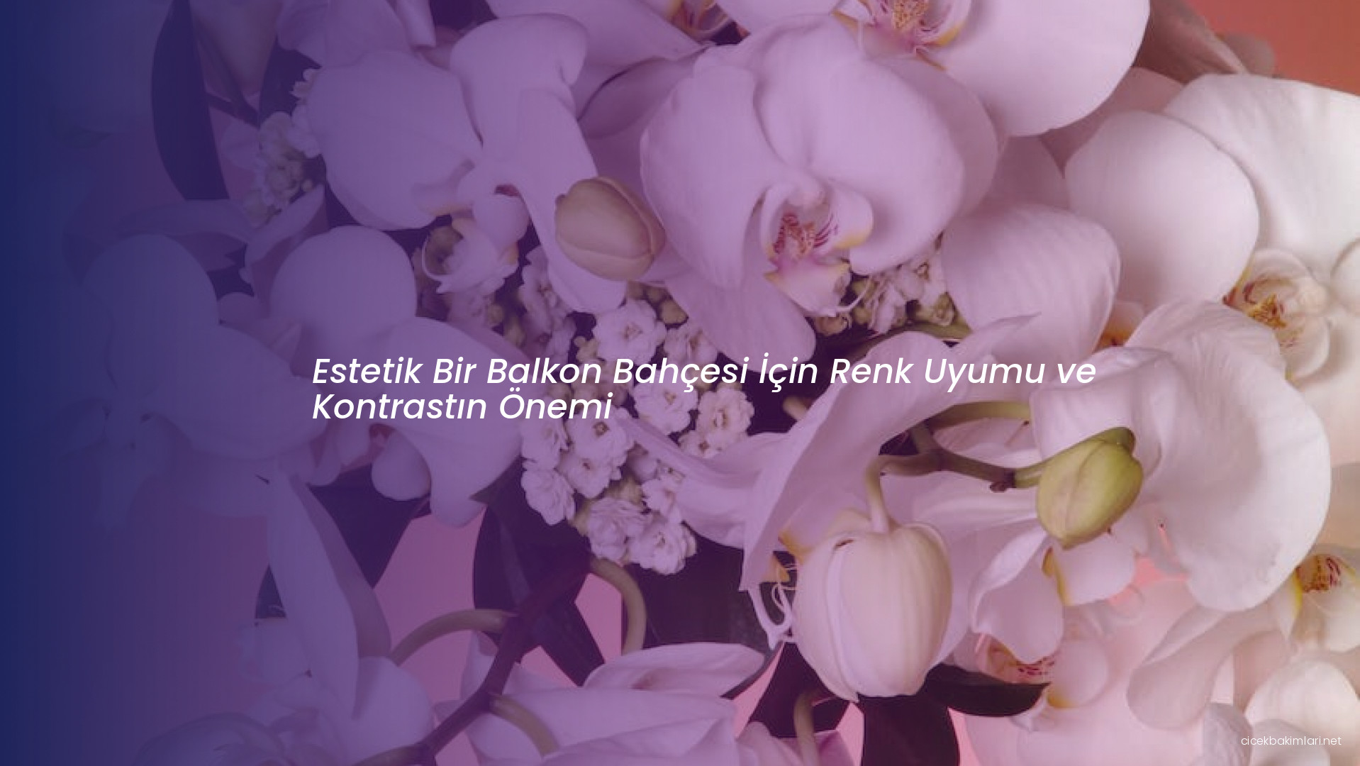 Estetik Bir Balkon Bahçesi İçin Renk Uyumu ve Kontrastın Önemi