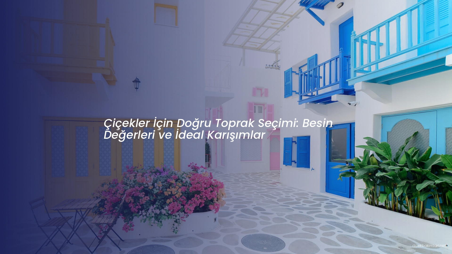 Çiçekler İçin Doğru Toprak Seçimi: Besin Değerleri ve İdeal Karışımlar