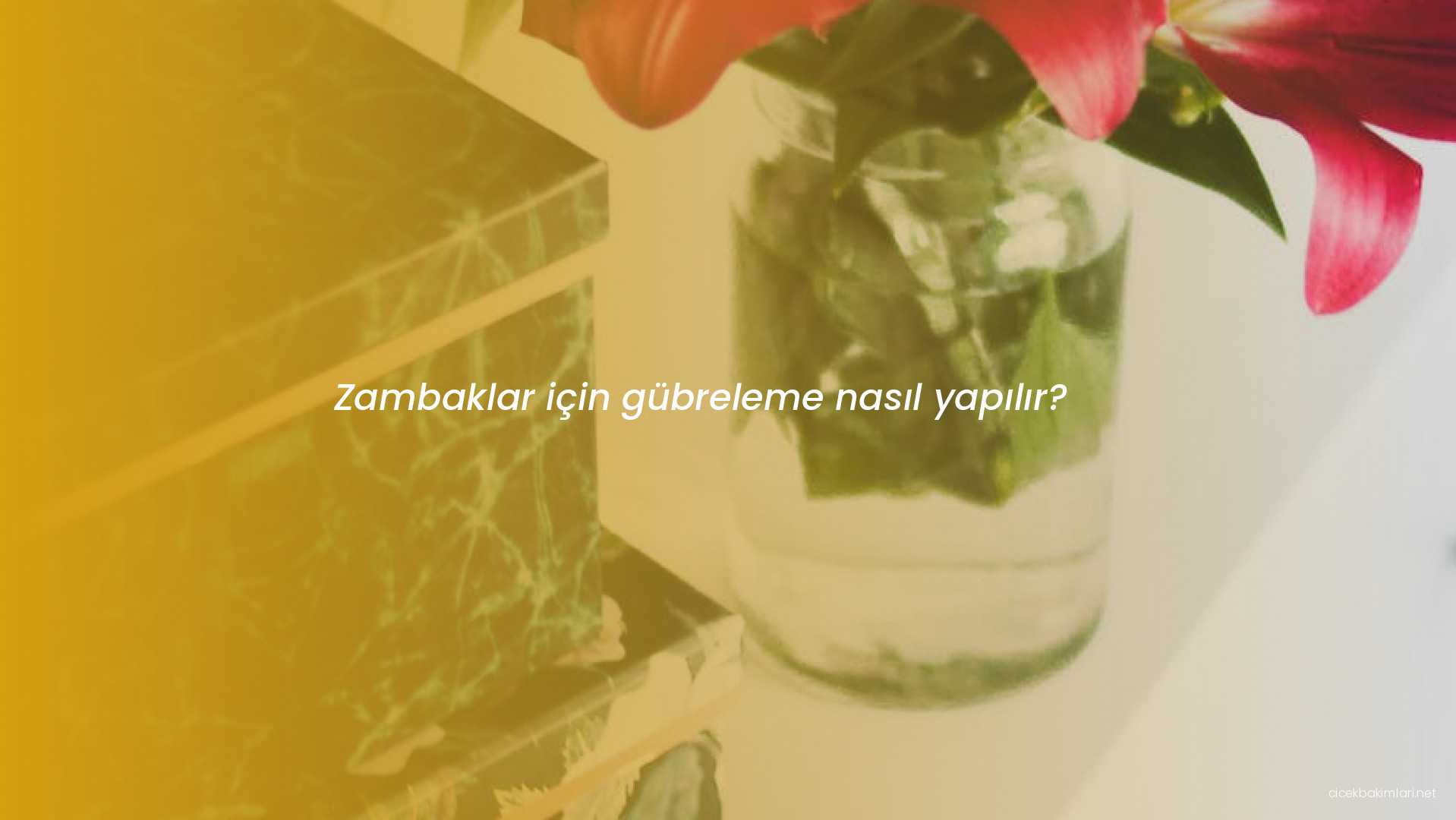 Zambaklar için gübreleme nasıl yapılır?