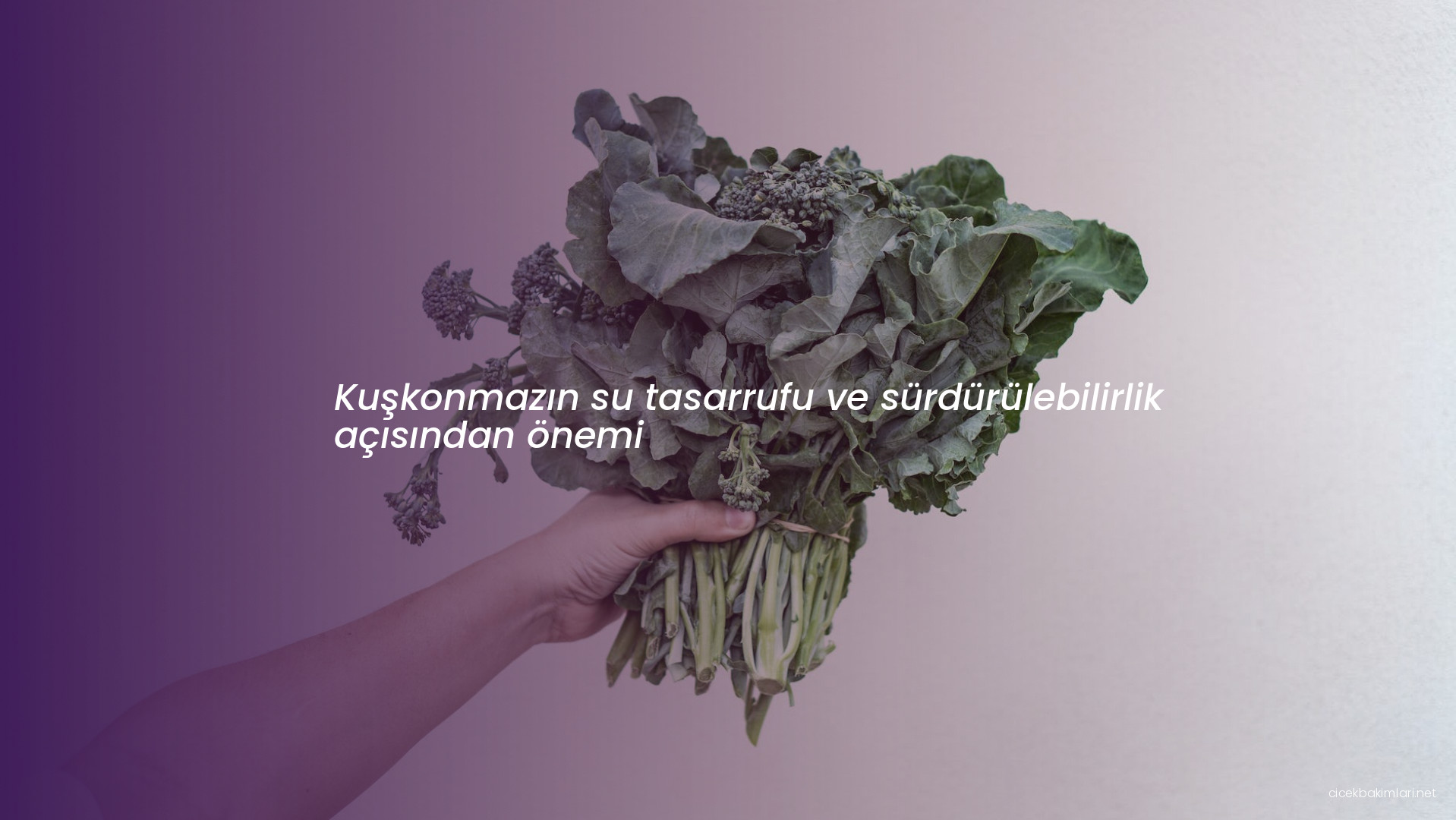 Kuşkonmazın su tasarrufu ve sürdürülebilirlik açısından önemi