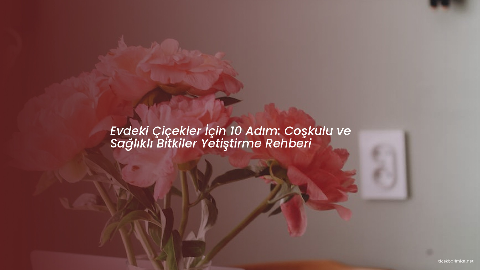 Evdeki Çiçekler İçin 10 Adım: Coşkulu ve Sağlıklı Bitkiler Yetiştirme Rehberi