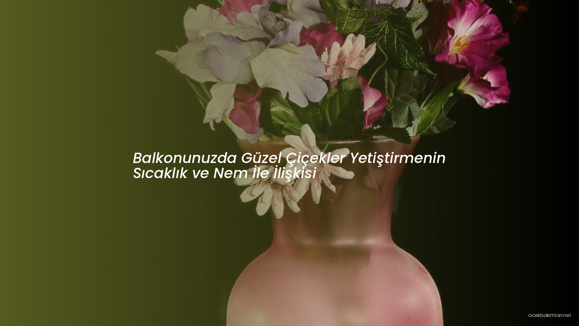 Balkonunuzda Güzel Çiçekler Yetiştirmenin Sıcaklık ve Nem İle İlişkisi