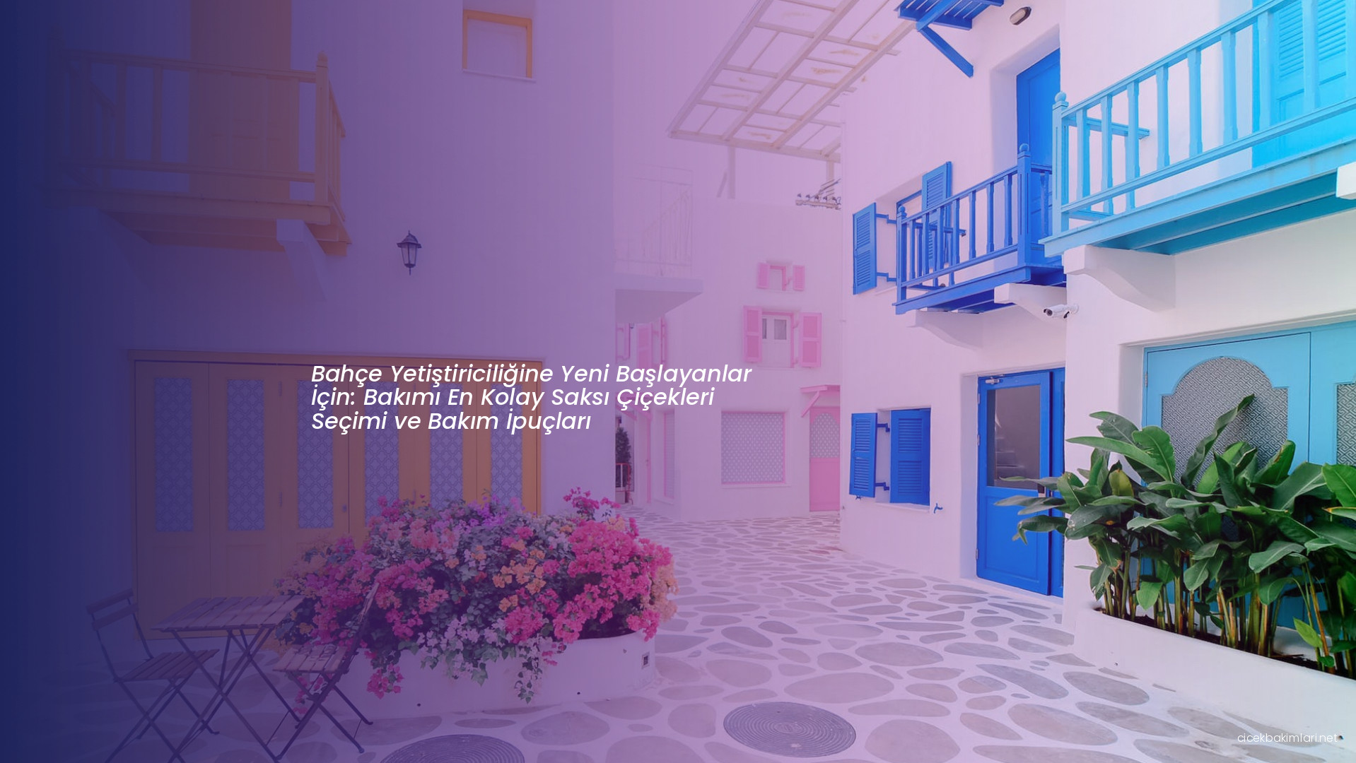 Bahçe Yetiştiriciliğine Yeni Başlayanlar İçin: Bakımı En Kolay Saksı Çiçekleri Seçimi ve Bakım İpuçları