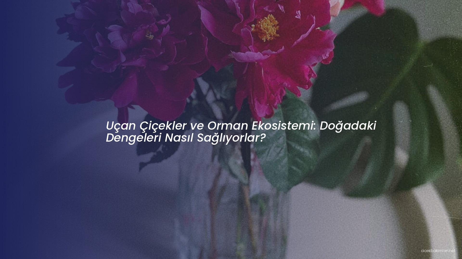 Uçan Çiçekler ve Orman Ekosistemi: Doğadaki Dengeleri Nasıl Sağlıyorlar?
