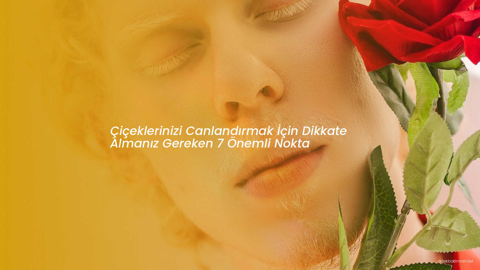 Çiçeklerinizi Canlandırmak İçin Dikkate Almanız Gereken 7 Önemli Nokta