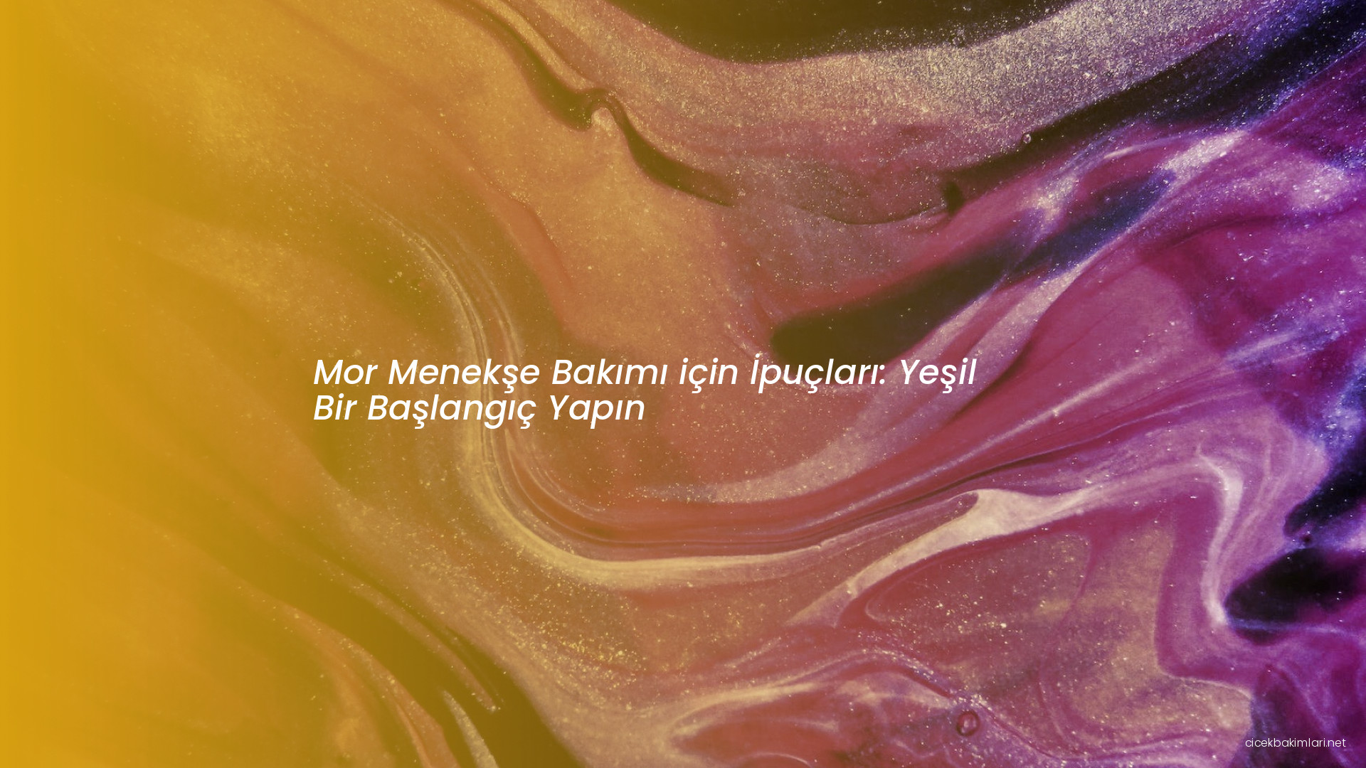 Mor Menekşe Bakımı için İpuçları: Yeşil Bir Başlangıç Yapın