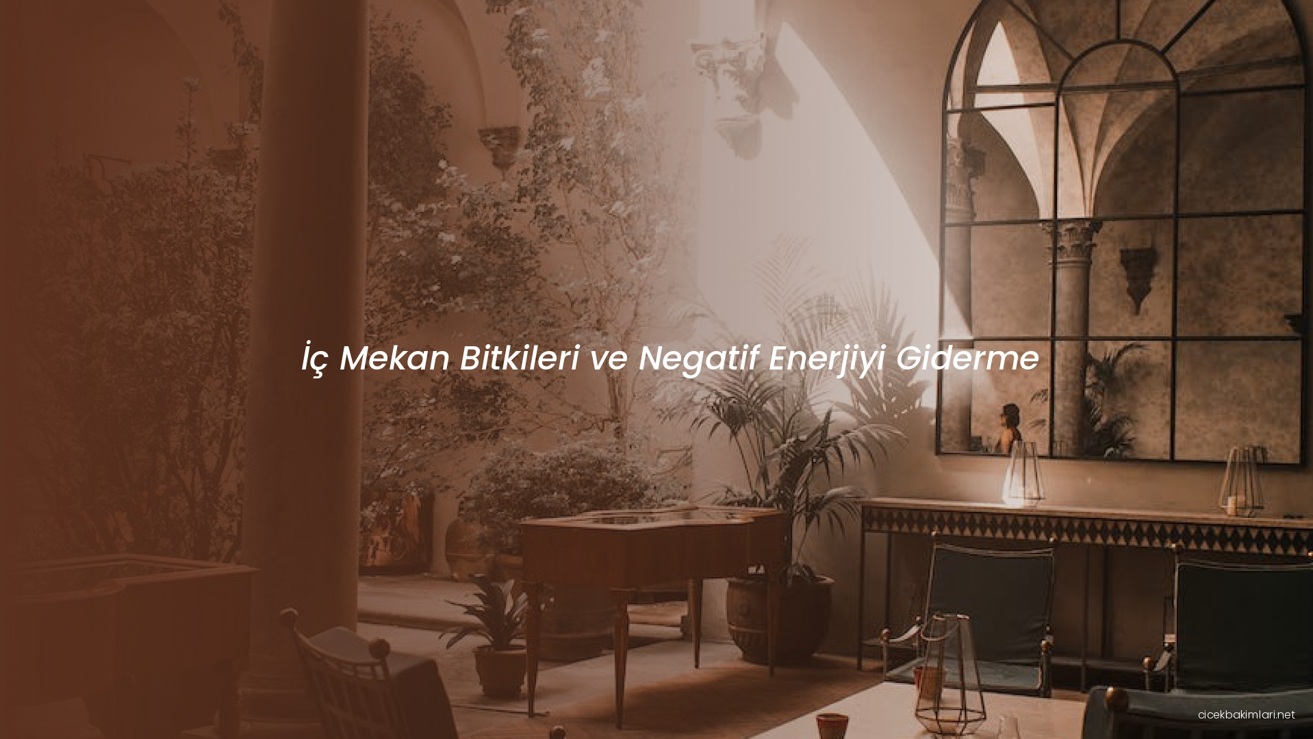 İç Mekan Bitkileri ve Negatif Enerjiyi Giderme