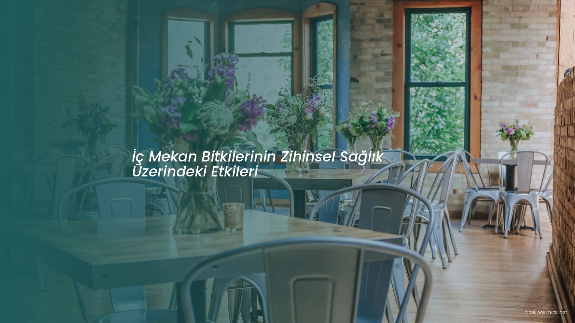 İç Mekan Bitkilerinin Zihinsel Sağlık Üzerindeki Etkileri