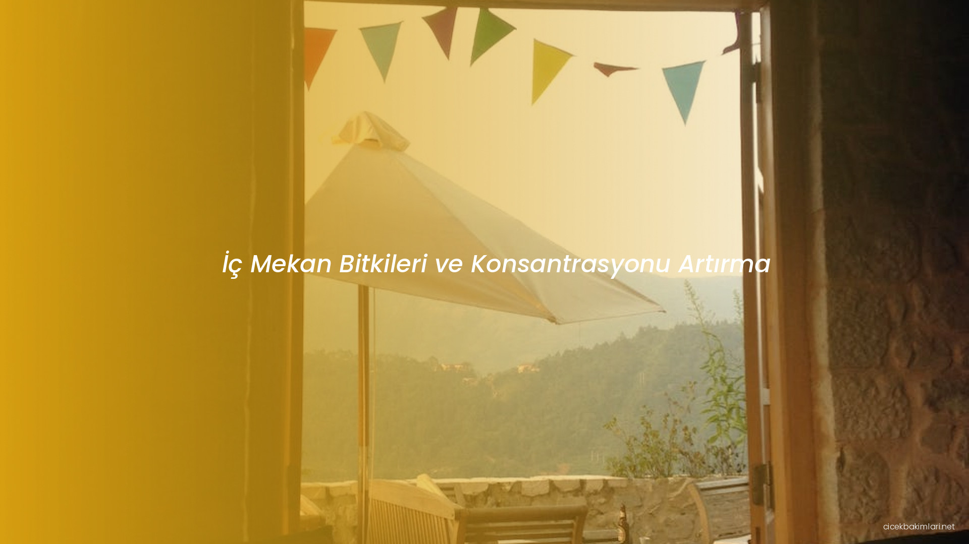 İç Mekan Bitkileri ve Konsantrasyonu Artırma