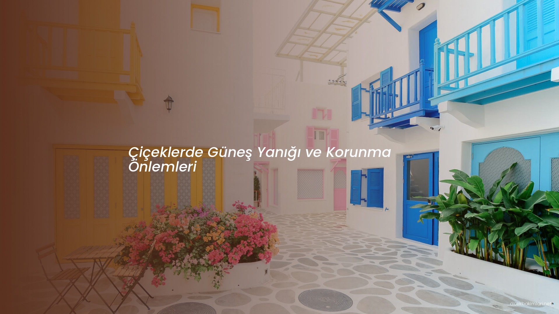 Çiçeklerde Güneş Yanığı ve Korunma Önlemleri