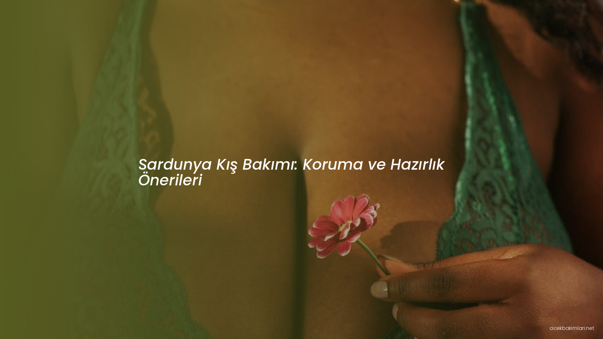 Sardunya Kış Bakımı: Koruma ve Hazırlık Önerileri