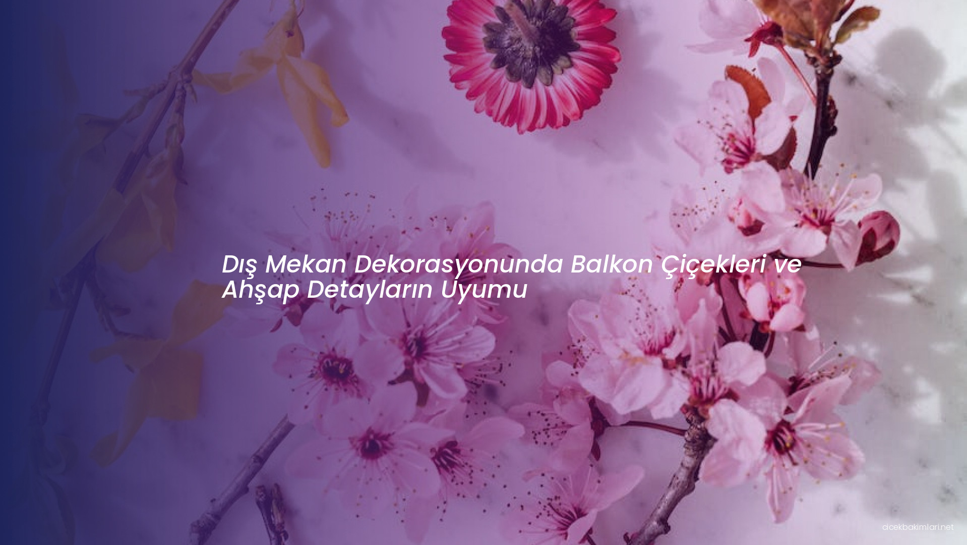 Dış Mekan Dekorasyonunda Balkon Çiçekleri ve Ahşap Detayların Uyumu