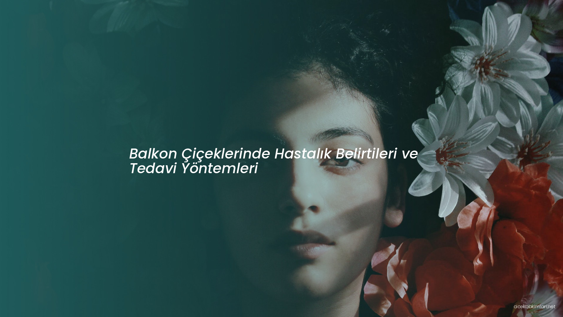 Balkon Çiçeklerinde Hastalık Belirtileri ve Tedavi Yöntemleri