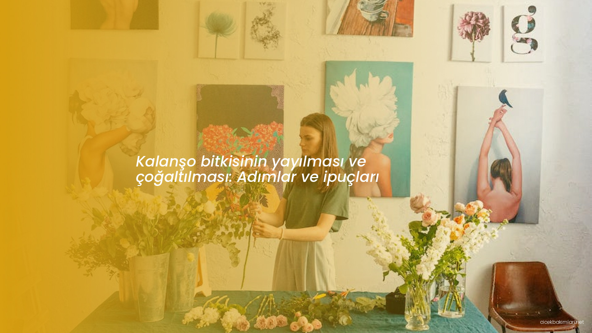 Kalanşo bitkisinin yayılması ve çoğaltılması: Adımlar ve ipuçları