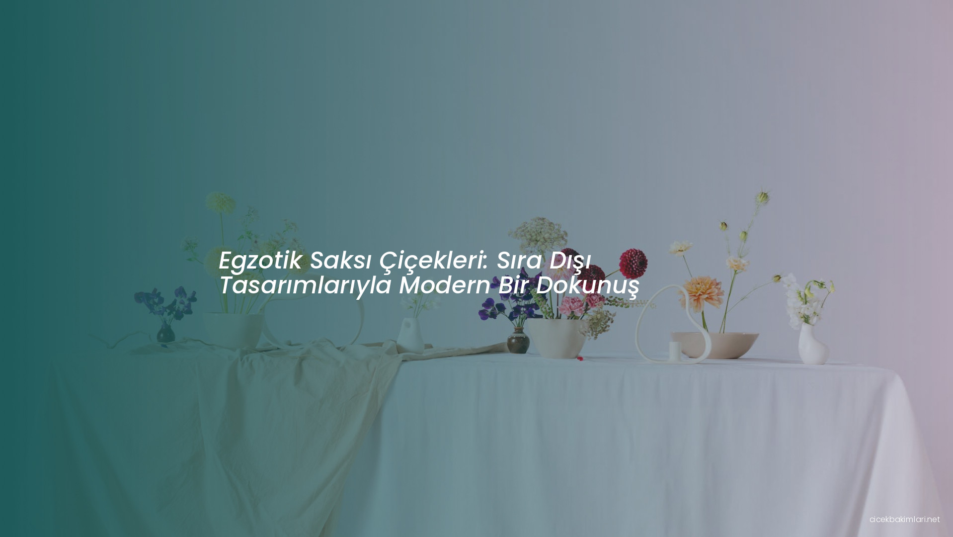 Egzotik Saksı Çiçekleri: Sıra Dışı Tasarımlarıyla Modern Bir Dokunuş