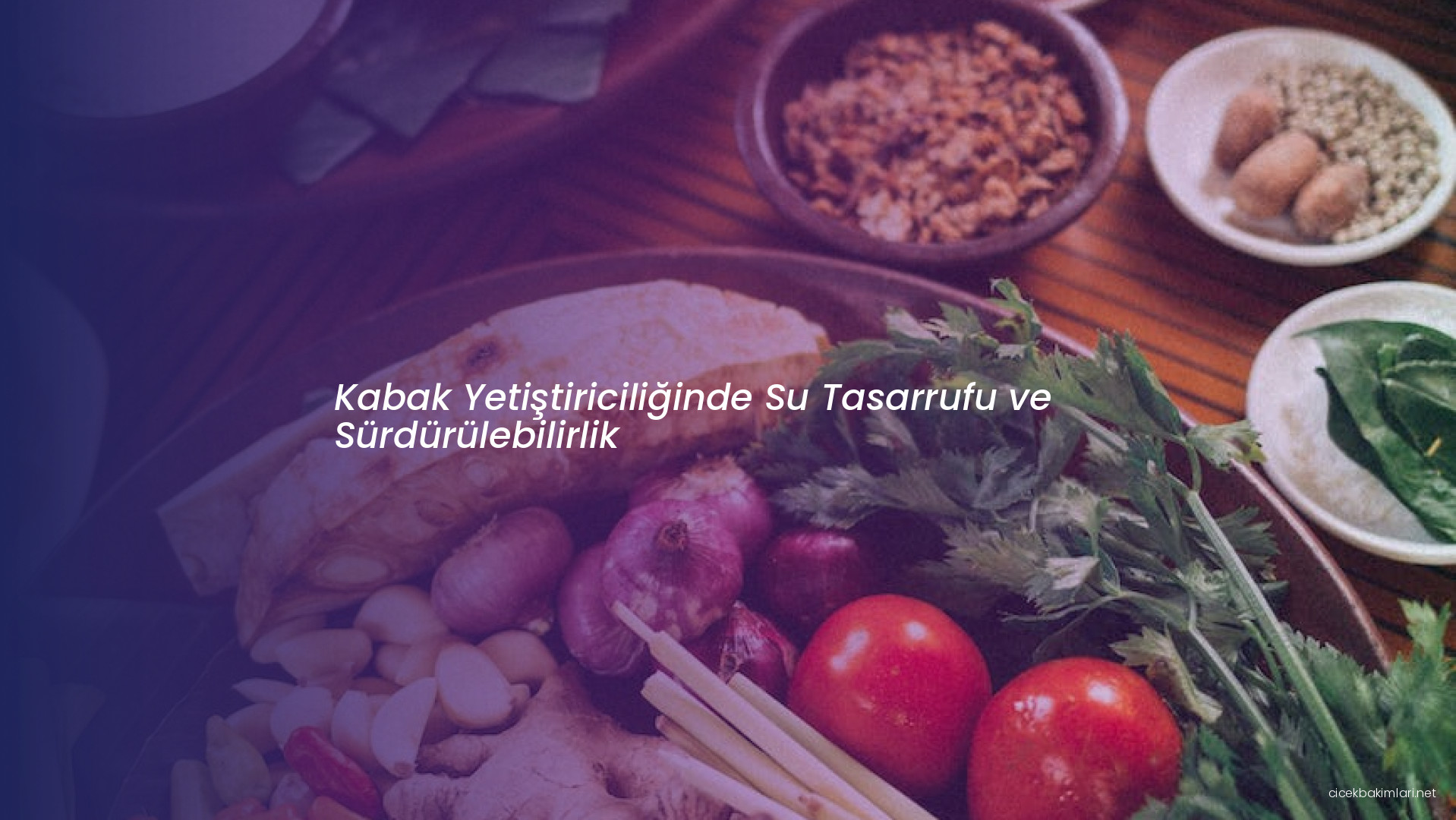 Kabak Yetiştiriciliğinde Su Tasarrufu ve Sürdürülebilirlik