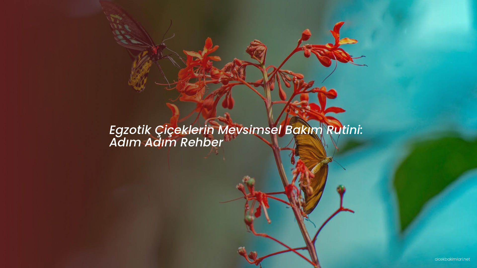 Egzotik Çiçeklerin Mevsimsel Bakım Rutini: Adım Adım Rehber