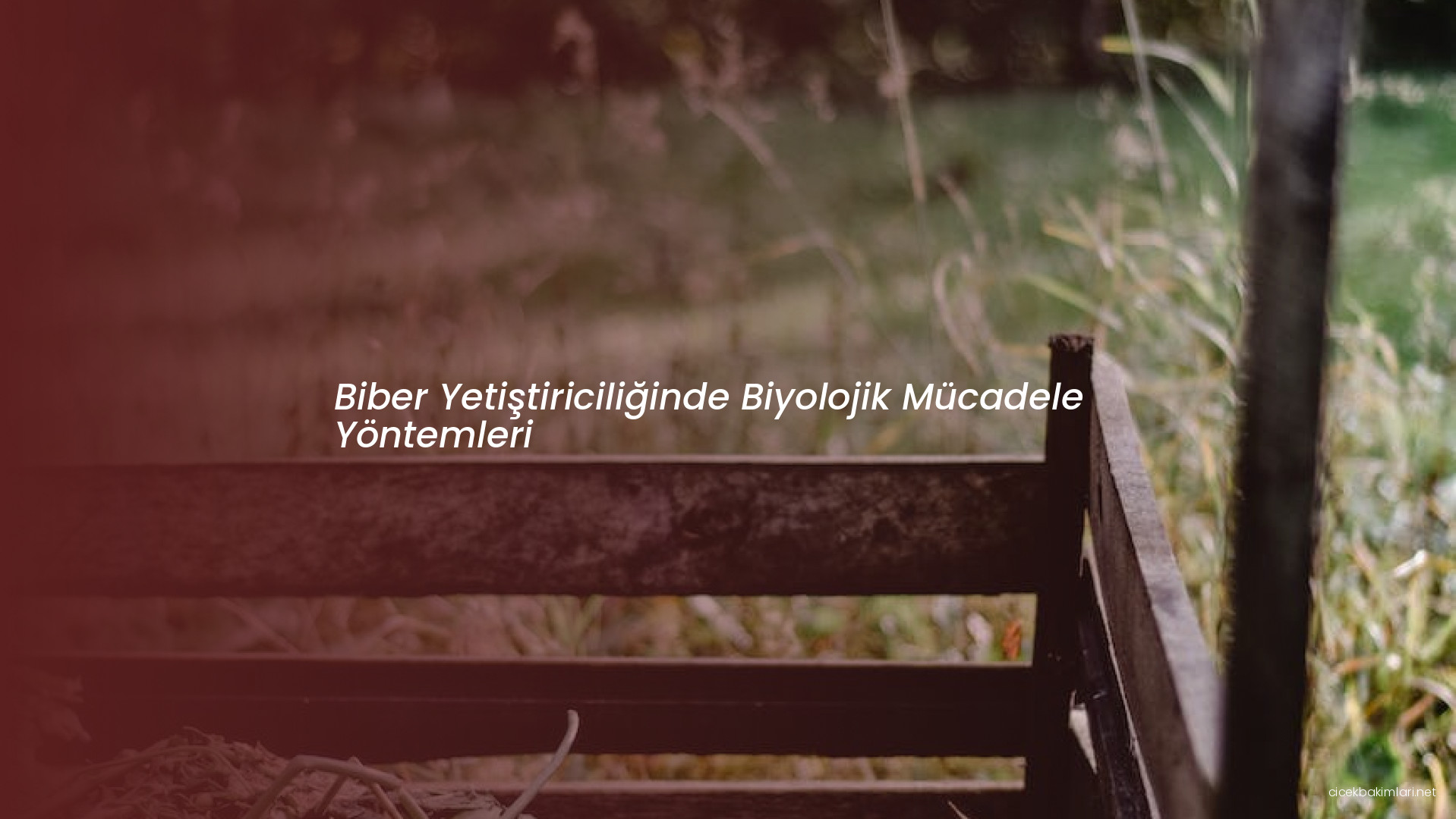 Biber Yetiştiriciliğinde Biyolojik Mücadele Yöntemleri
