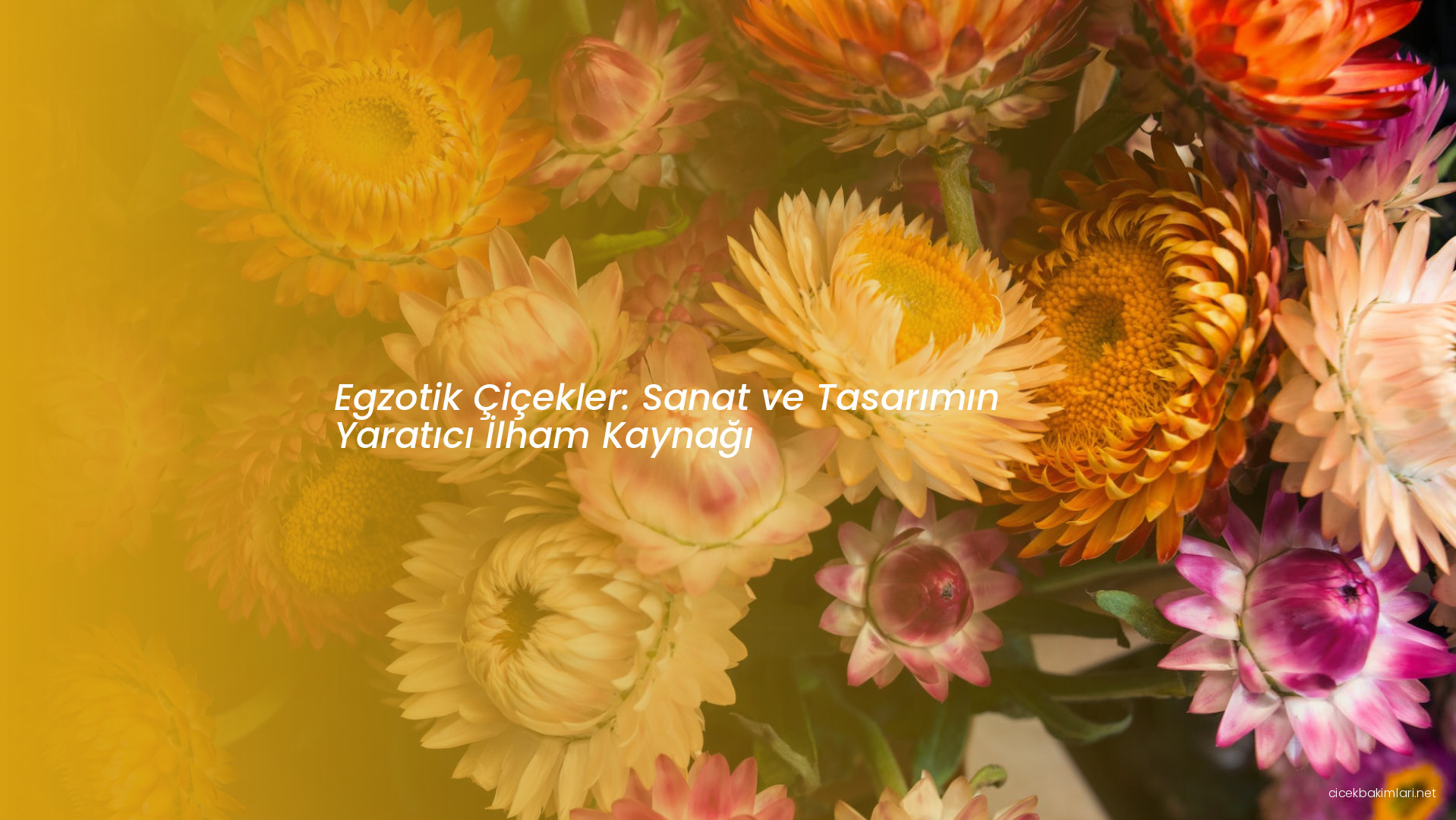 Egzotik Çiçekler: Sanat ve Tasarımın Yaratıcı İlham Kaynağı