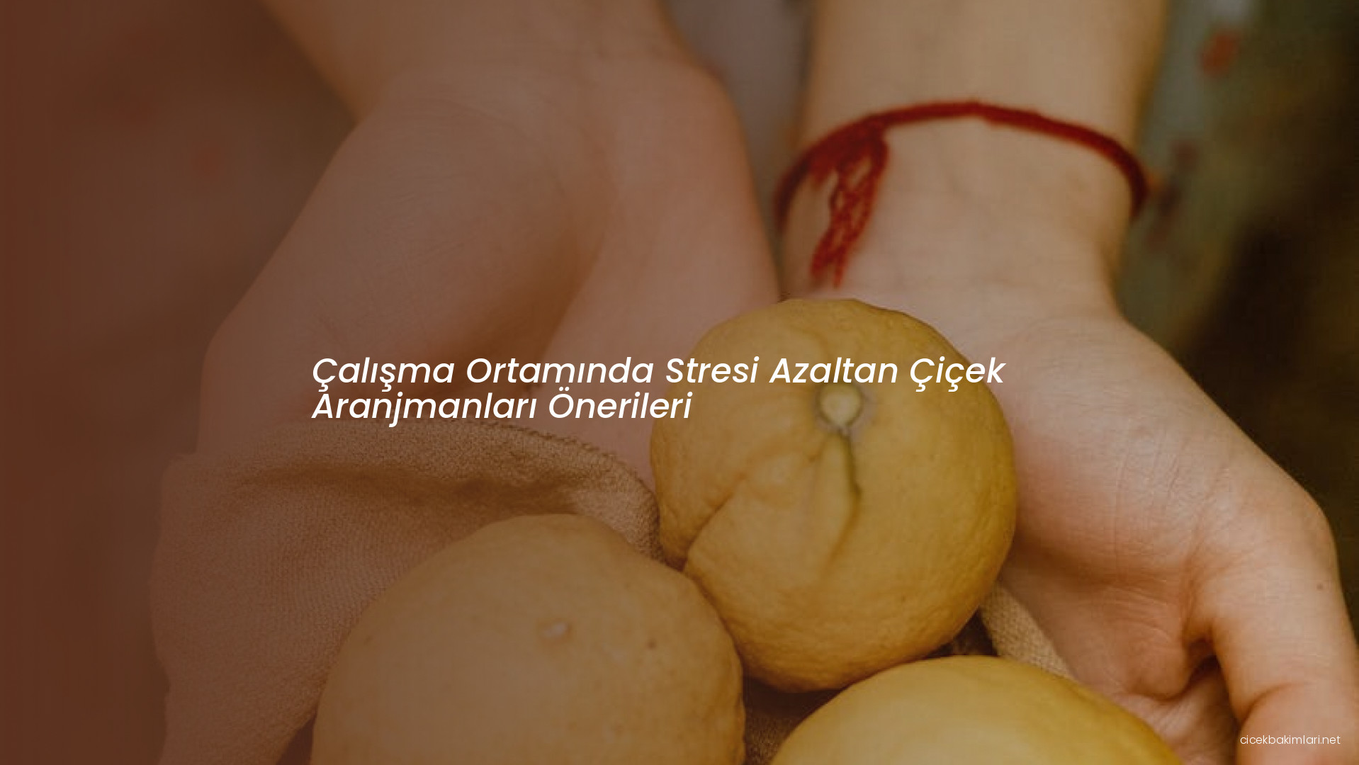 Çalışma Ortamında Stresi Azaltan Çiçek Aranjmanları Önerileri