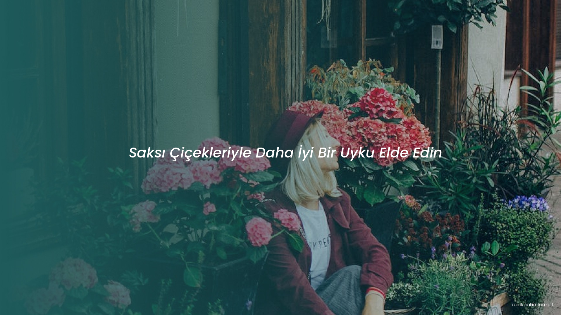 Saksı Çiçekleriyle Daha İyi Bir Uyku Elde Edin