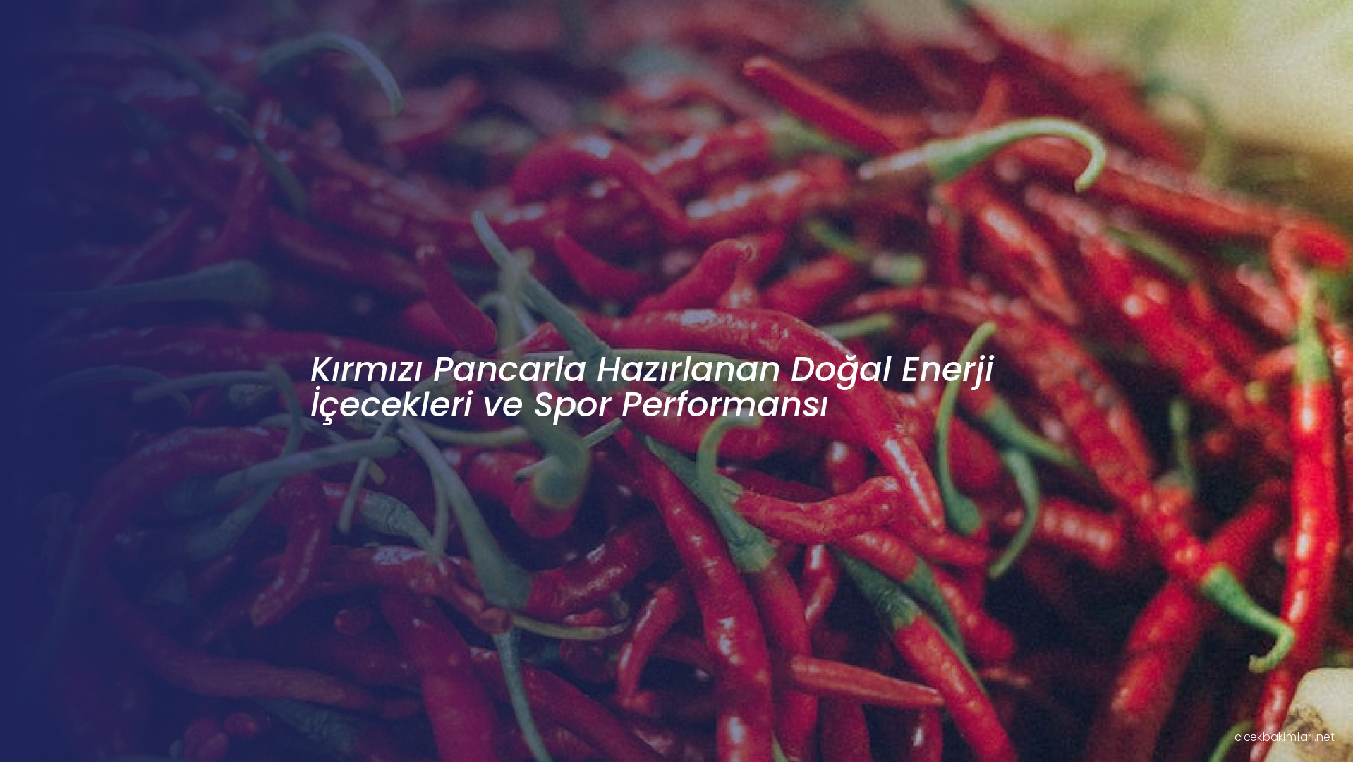 Kırmızı Pancarla Hazırlanan Doğal Enerji İçecekleri ve Spor Performansı