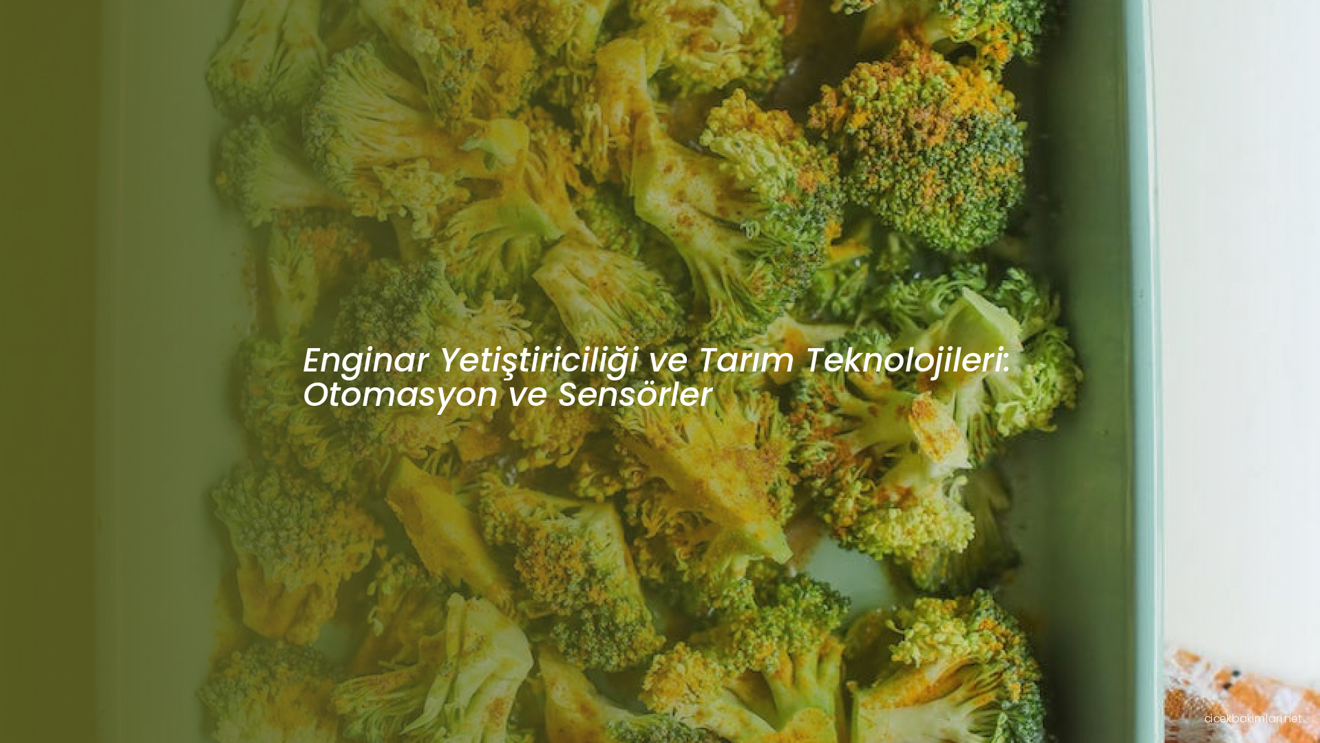 Enginar Yetiştiriciliği ve Tarım Teknolojileri: Otomasyon ve Sensörler