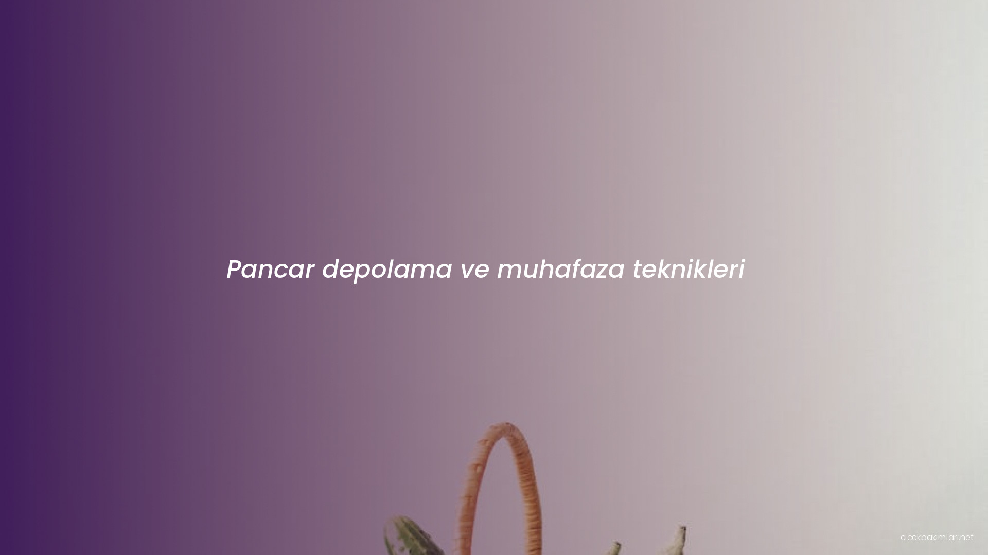 Pancar depolama ve muhafaza teknikleri