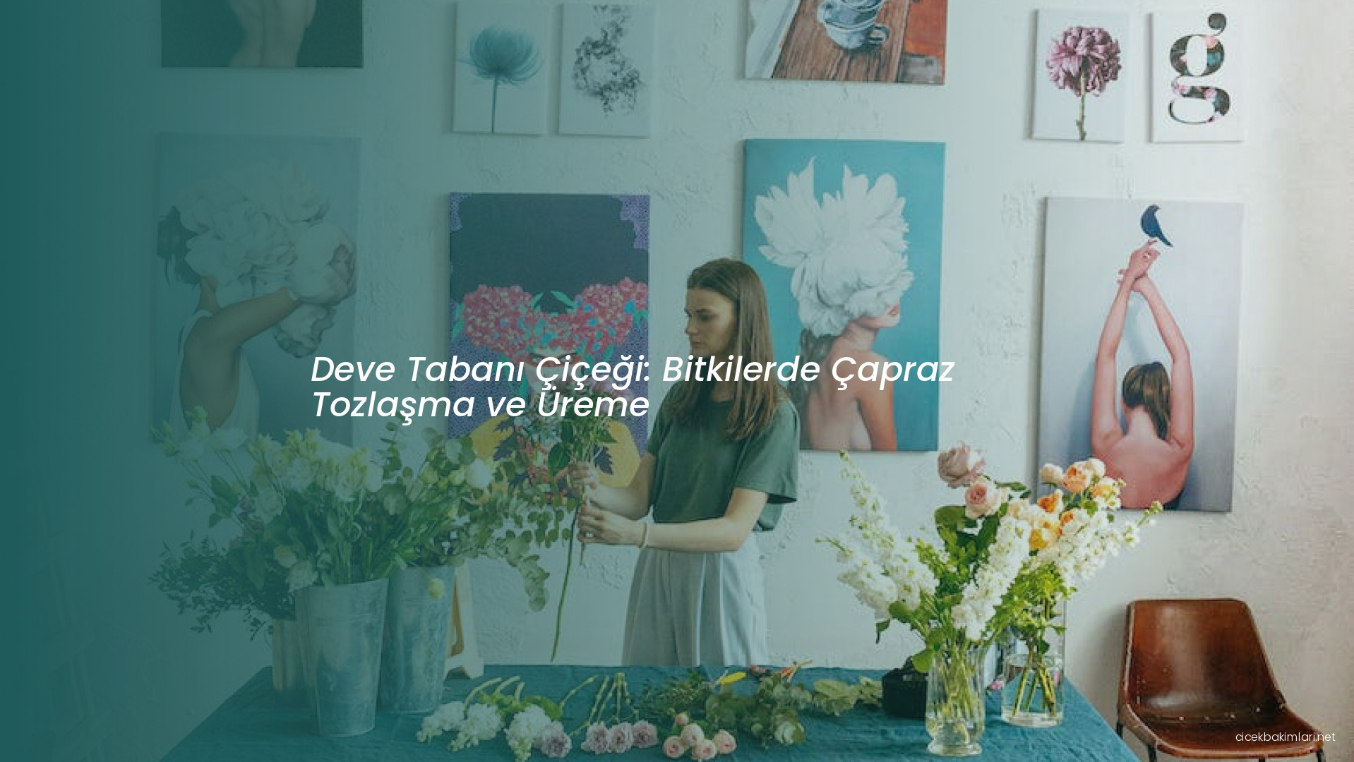 Deve Tabanı Çiçeği: Bitkilerde Çapraz Tozlaşma ve Üreme