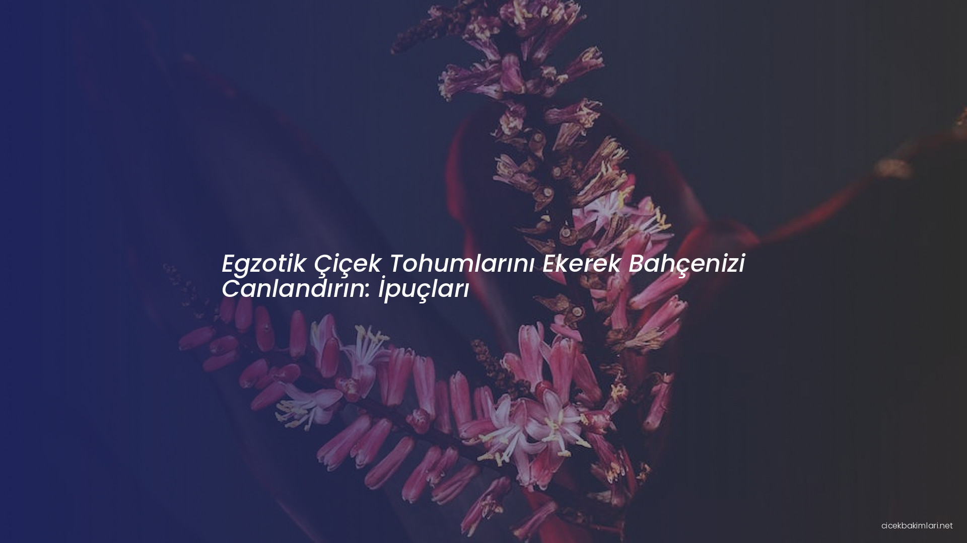 Egzotik Çiçek Tohumlarını Ekerek Bahçenizi Canlandırın: İpuçları