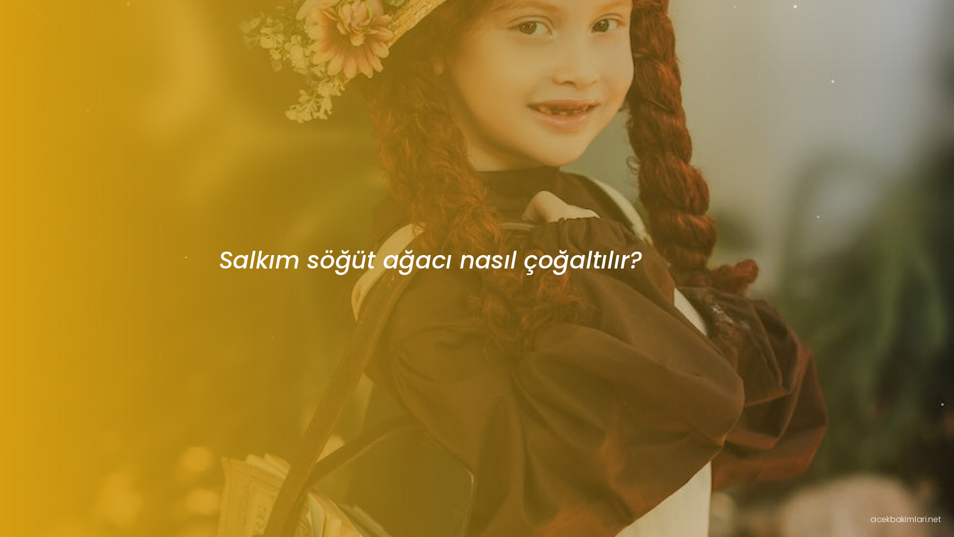 Salkım söğüt ağacı nasıl çoğaltılır?