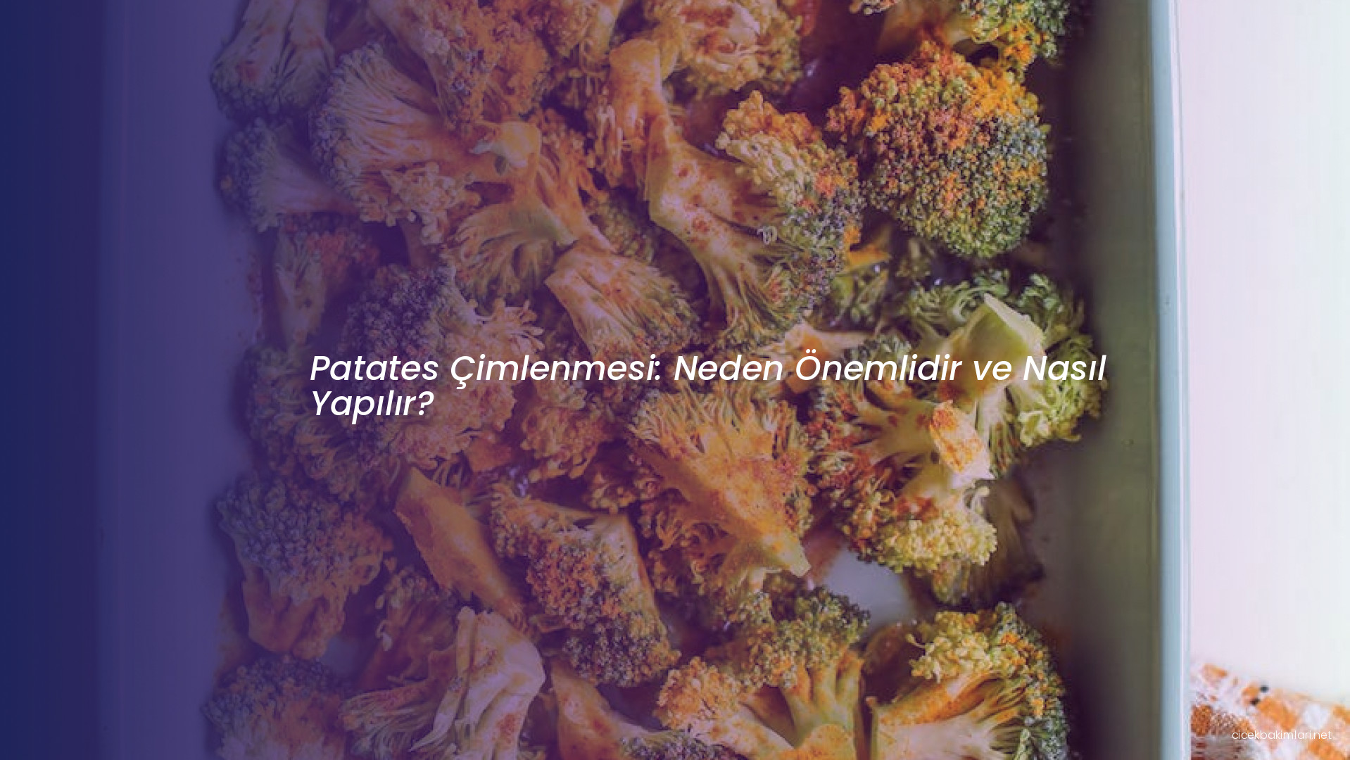 Patates Çimlenmesi: Neden Önemlidir ve Nasıl Yapılır?