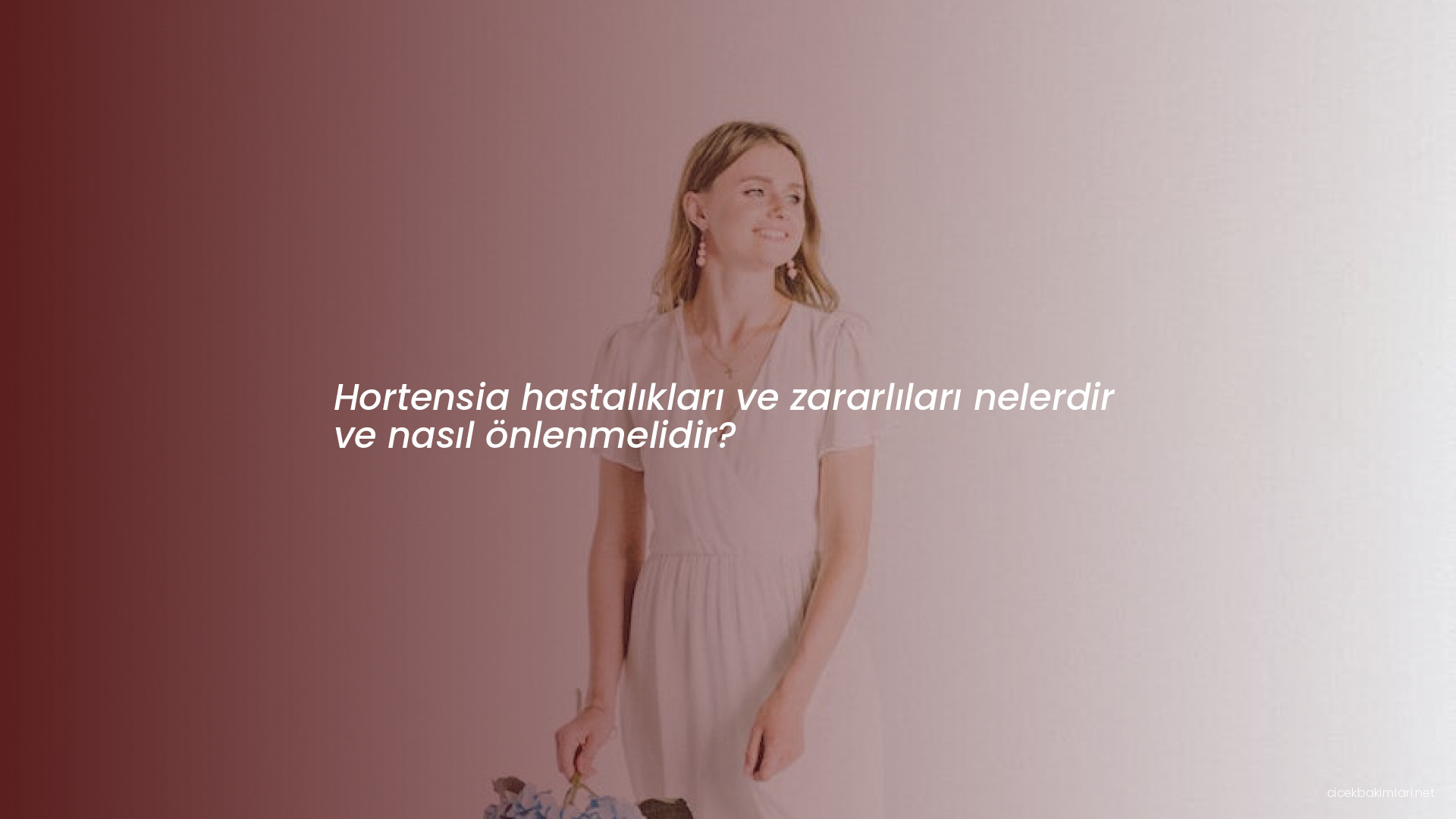 Hortensia hastalıkları ve zararlıları nelerdir ve nasıl önlenmelidir?