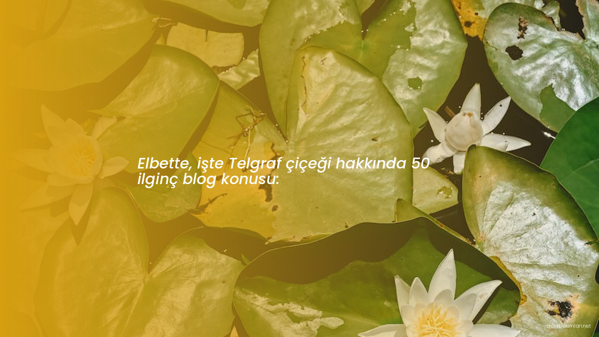 Elbette, işte Telgraf çiçeği hakkında 50 ilginç blog konusu:
