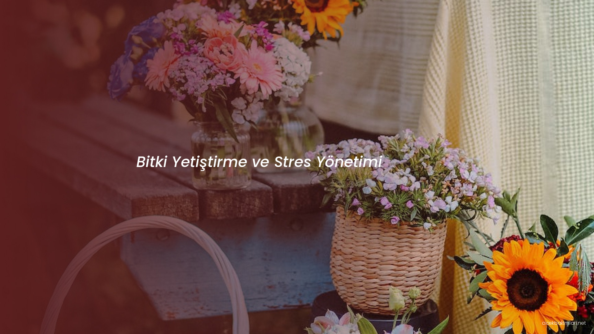 Bitki Yetiştirme ve Stres Yönetimi