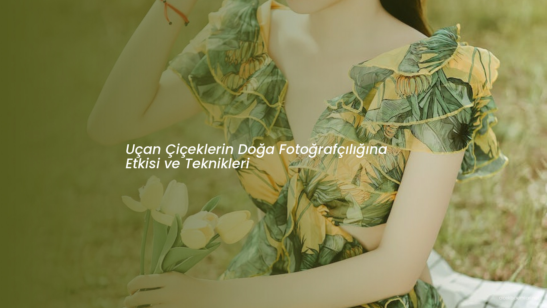 Uçan Çiçeklerin Doğa Fotoğrafçılığına Etkisi ve Teknikleri