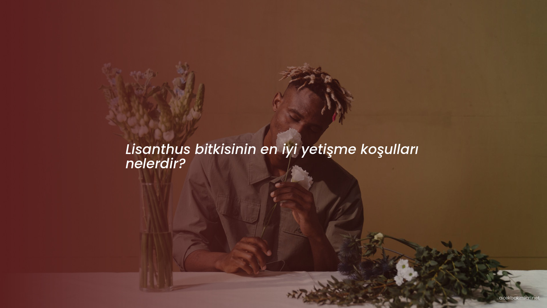 Lisanthus bitkisinin en iyi yetişme koşulları nelerdir?