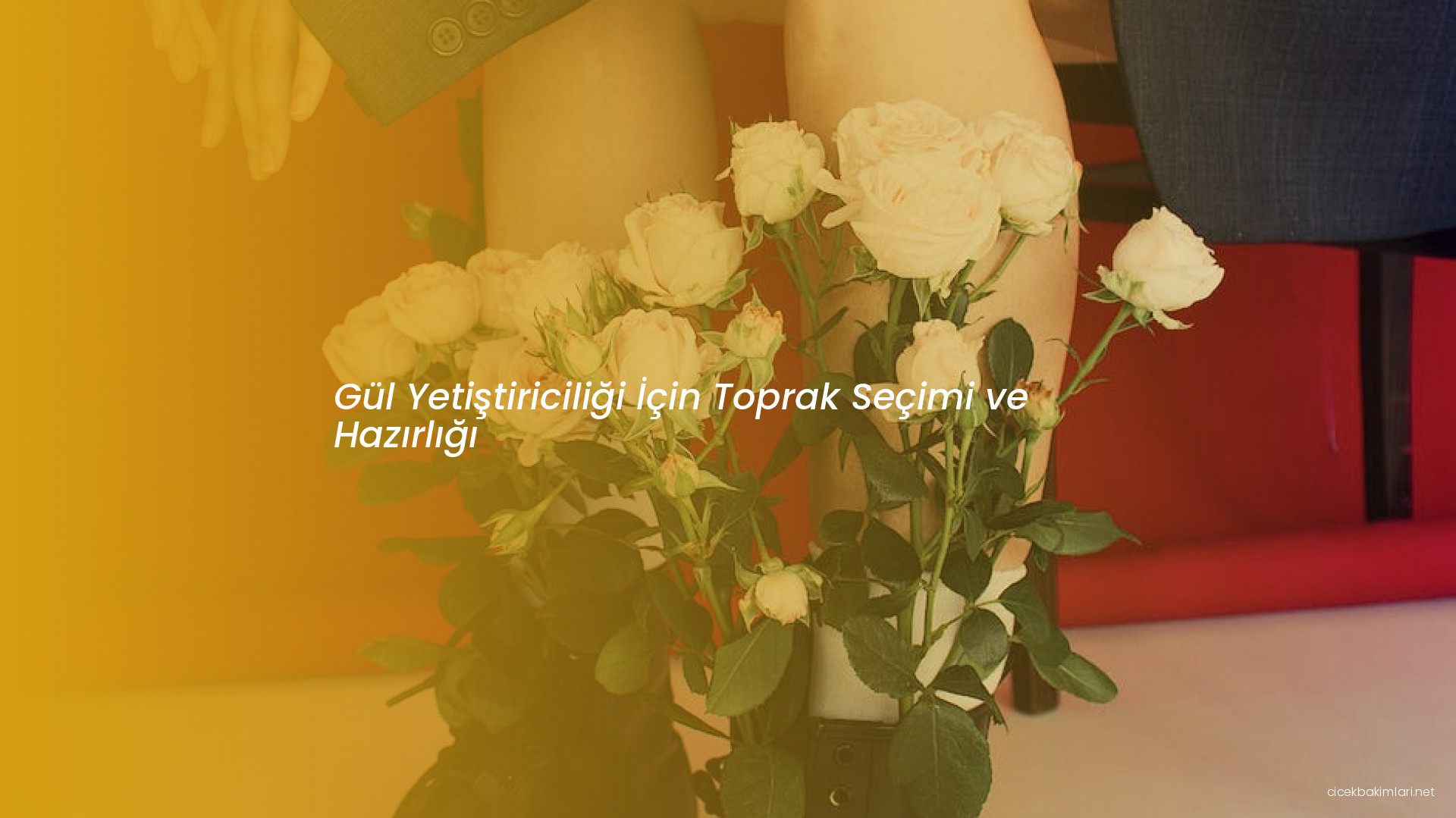 Gül Yetiştiriciliği İçin Toprak Seçimi ve Hazırlığı