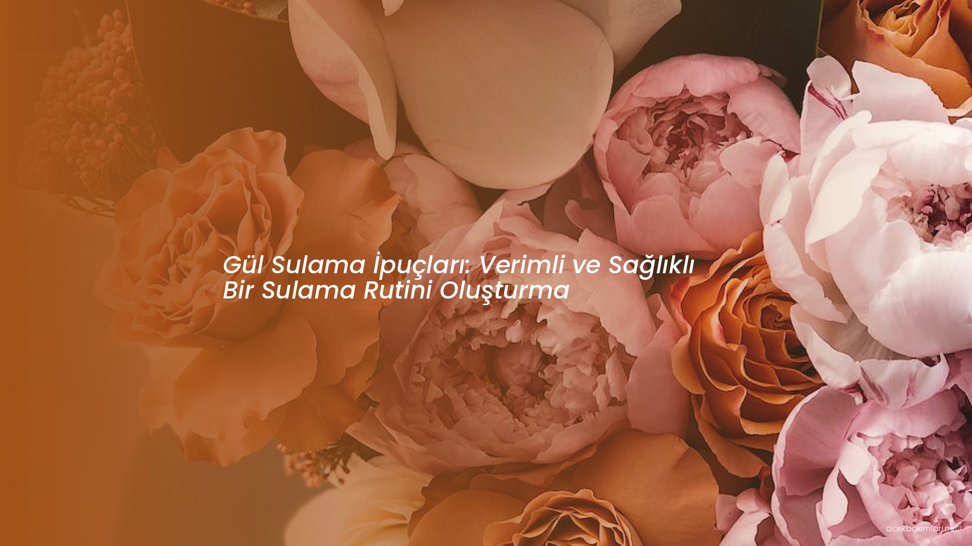 Gül Sulama İpuçları: Verimli ve Sağlıklı Bir Sulama Rutini Oluşturma
