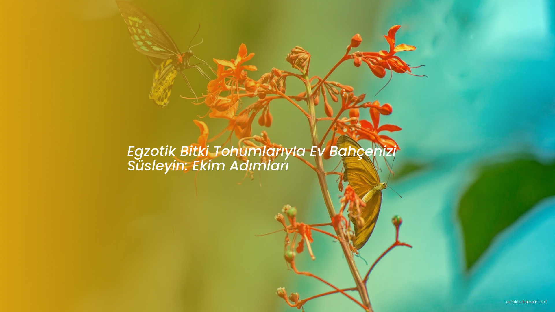 Egzotik Bitki Tohumlarıyla Ev Bahçenizi Süsleyin: Ekim Adımları