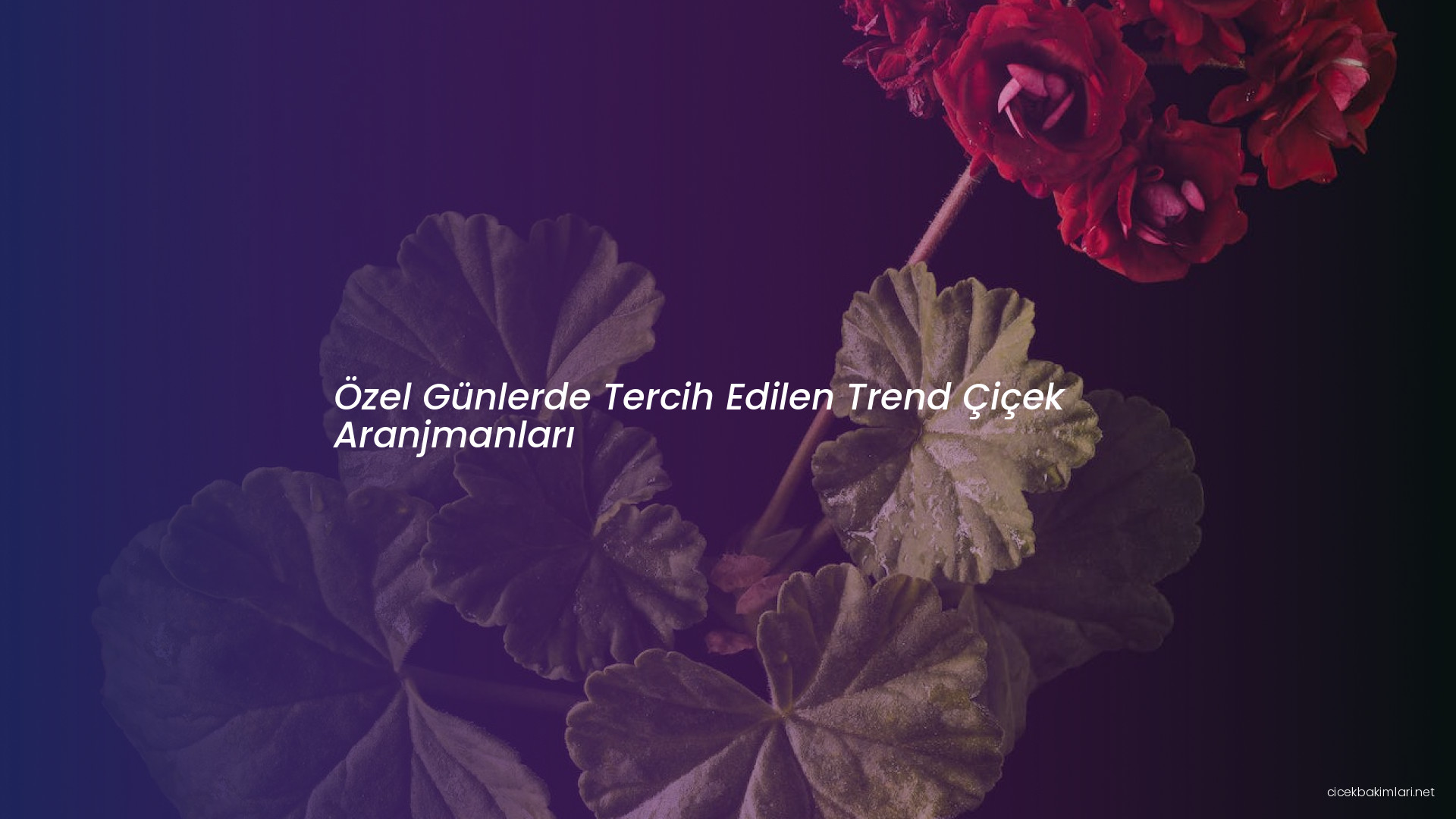 Özel Günlerde Tercih Edilen Trend Çiçek Aranjmanları