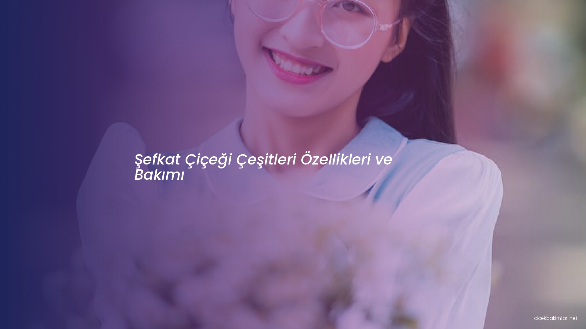 Şefkat Çiçeği Çeşitleri Özellikleri ve Bakımı