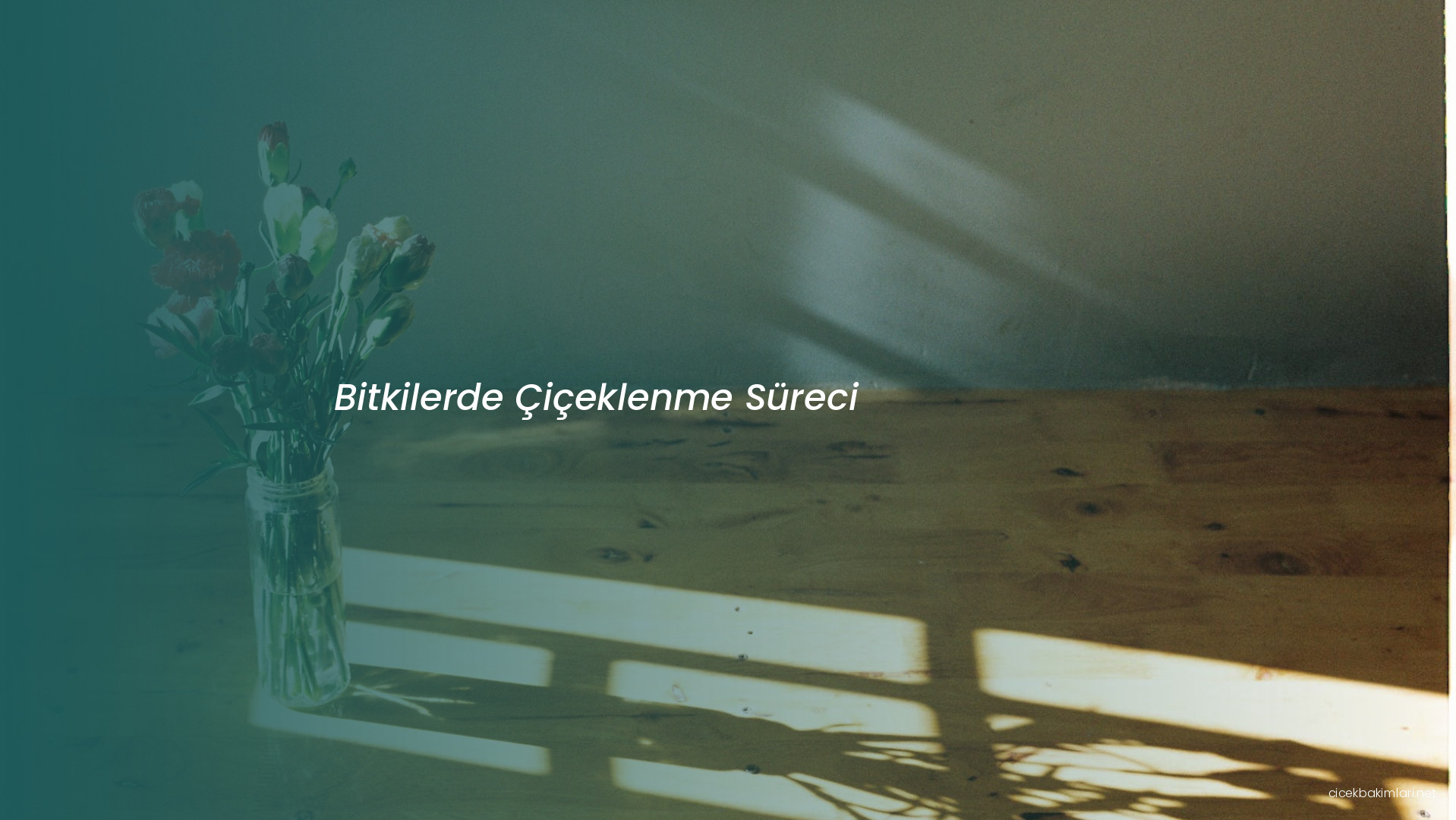 Bitkilerde Çiçeklenme Süreci