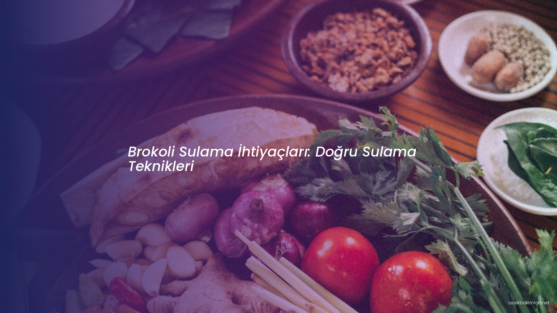 Brokoli Sulama İhtiyaçları: Doğru Sulama Teknikleri